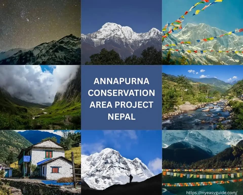 featured cover image