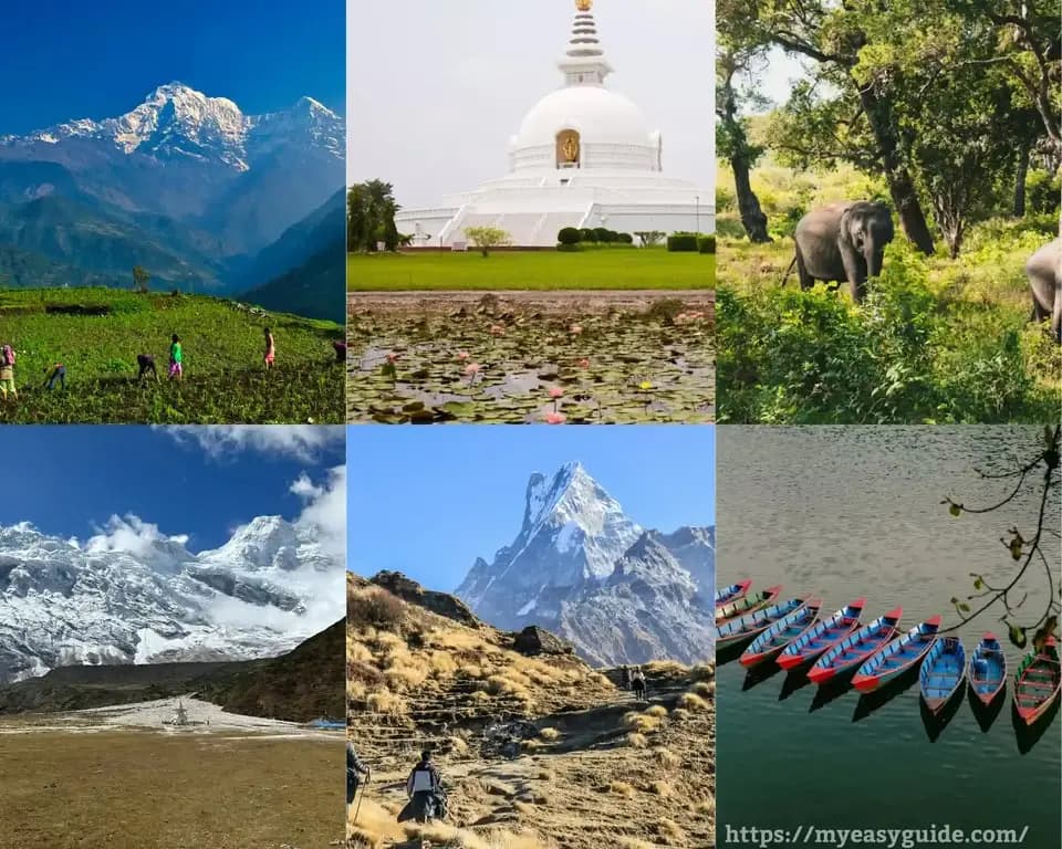 featured cover image