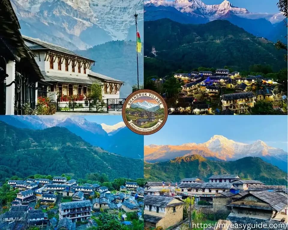 featured cover image