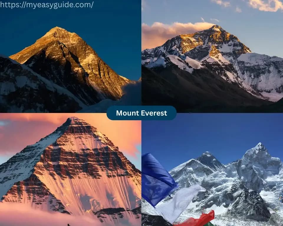 featured cover image