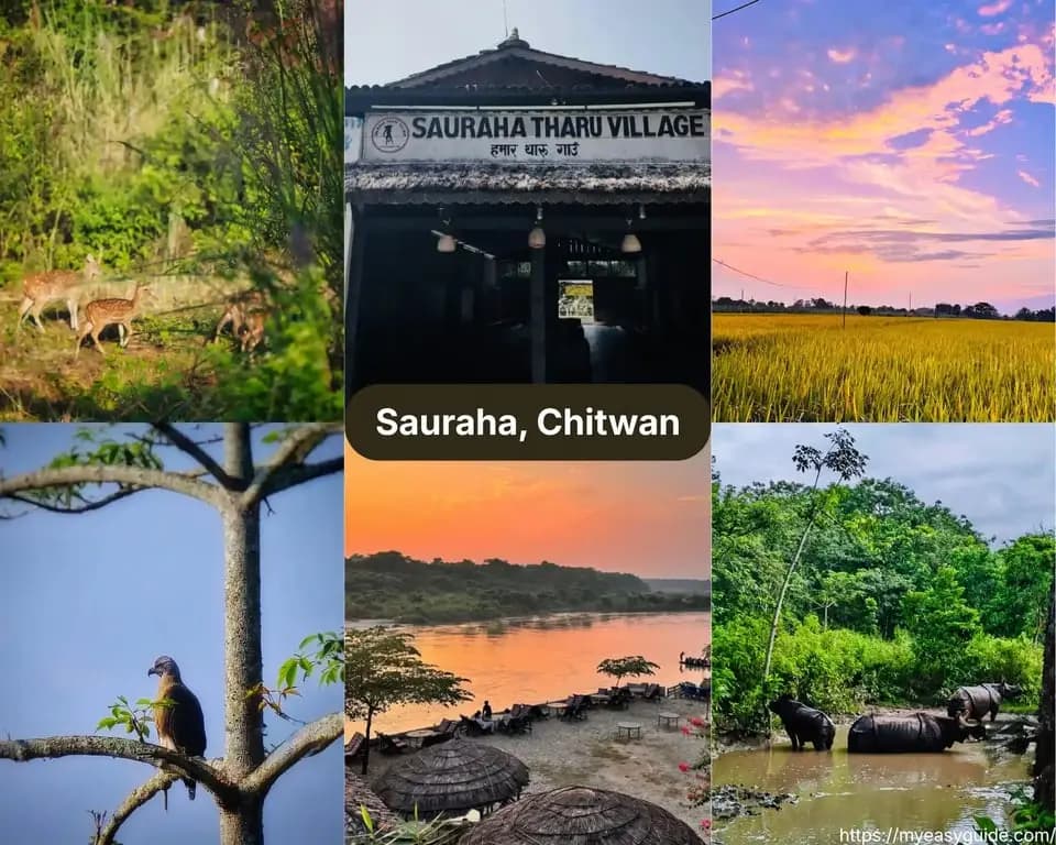 featured cover image