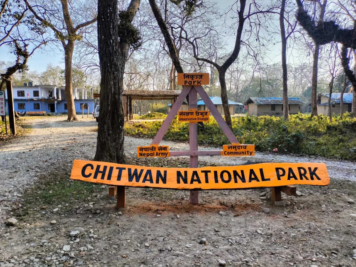 15 Best Things to Do in Chitwan: The Ultimate Wildlife & Culture Bucket List (2026)
