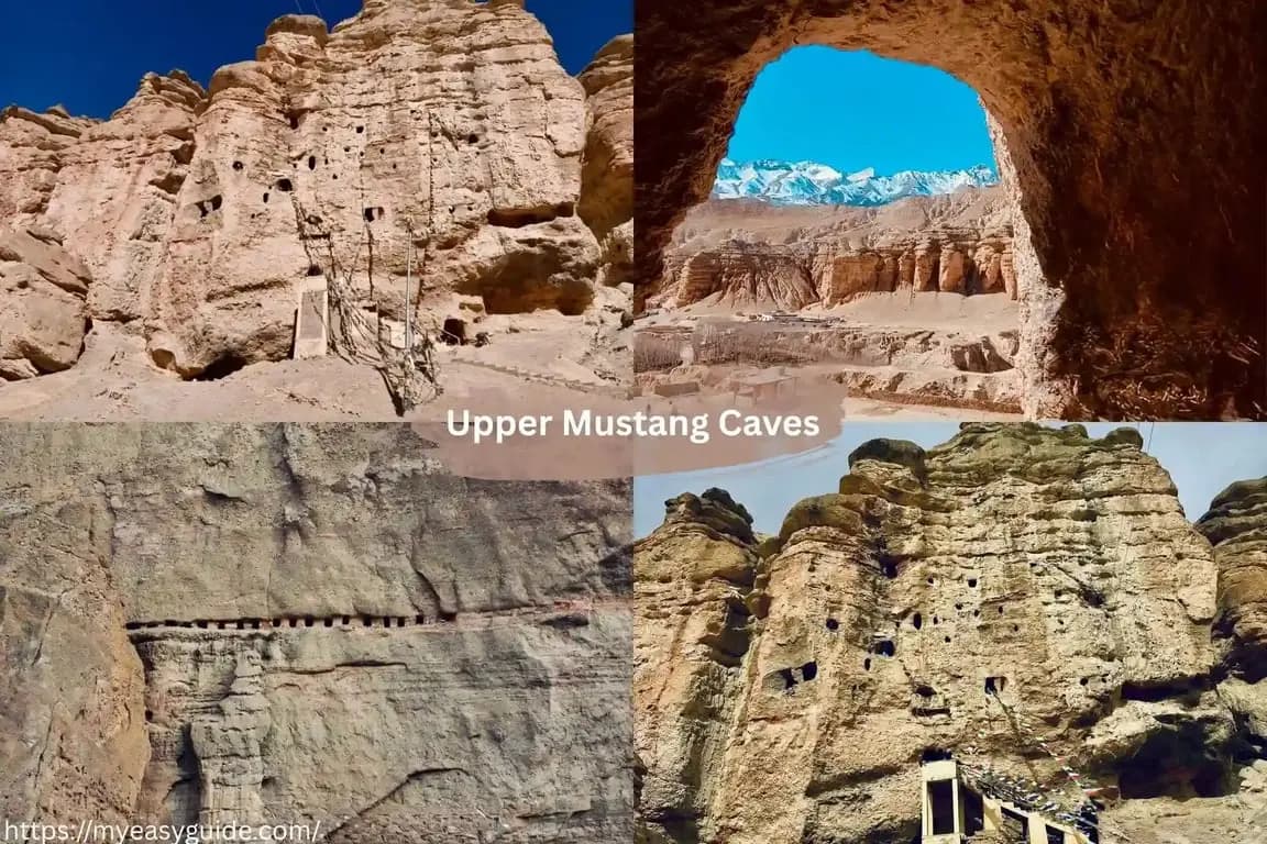 featured cover image