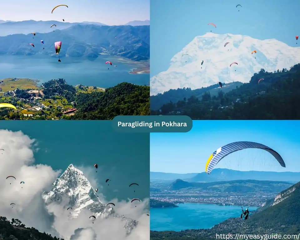 featured cover image