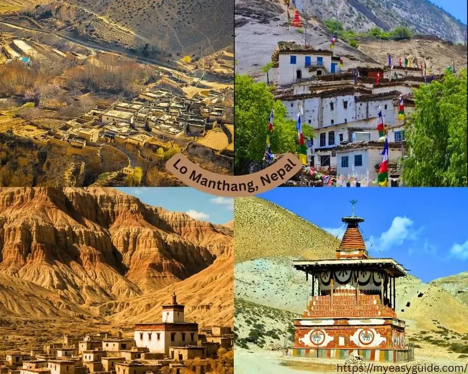 featured cover image