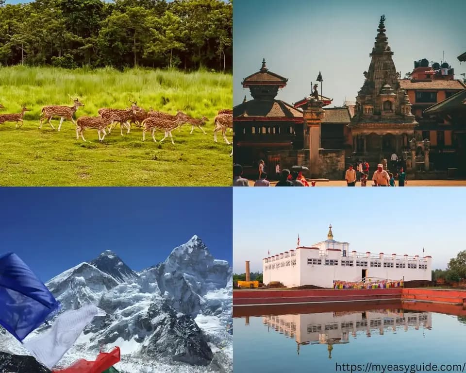 featured cover image